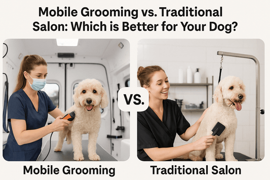Mobile Grooming vs. Traditional Salon