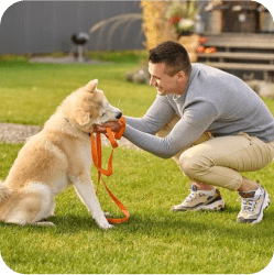 A Doral team member at Doggies Gone Wild affectionately petting a dog, showcasing our staff's love and dedication to each pet's wellbeing.