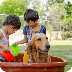 Two children lovingly bathing their Golden Retriever at Doggies Gone Wild in Doral, sharing a moment of care and family fun.